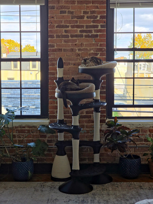 What sets Meow Mews apart from anything on the market?