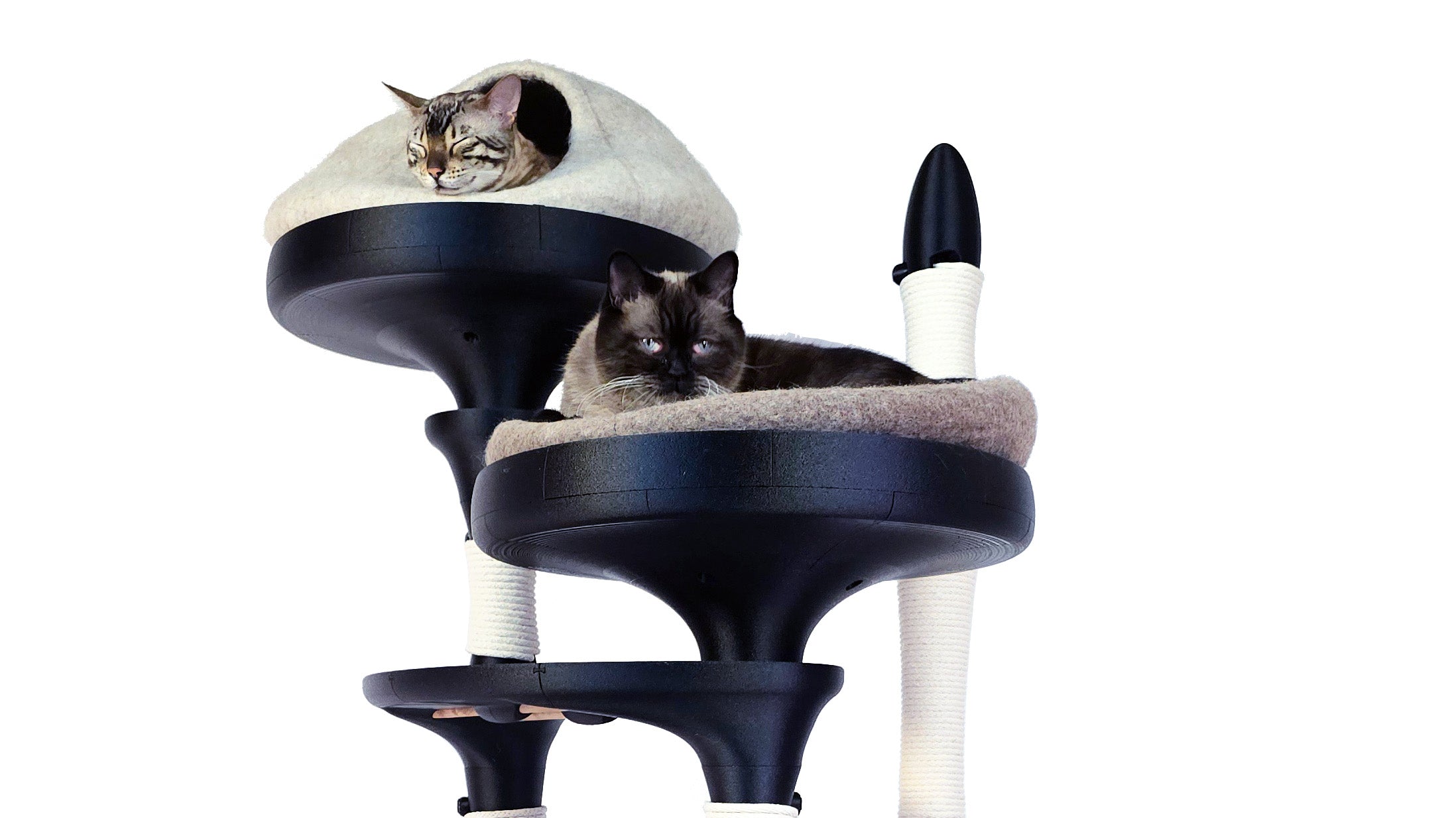 Meow Mews | High-Performance Cat Furniture